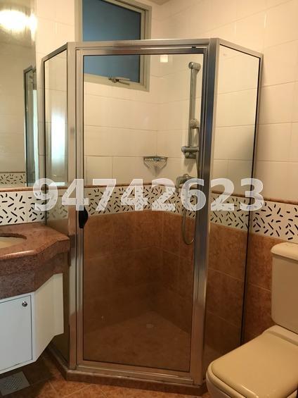 Sunshine Plaza (D7), Apartment #174676252